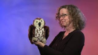 Folkmanis® Sawwhet Owl Puppet Demo  Retired [upl. by Nudnarb]