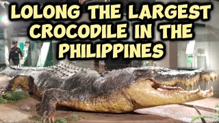 LOLONG THE LARGEST CROCODILE CAPTURED IN THE PHILIPPINES  NATIONAL MUSEUM OF NATURAL HISTORY PART 2 [upl. by Dempsey]