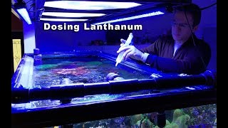 Dosing Lanthanum chloride to lower phosphate in a reef aquarium [upl. by Quinton]