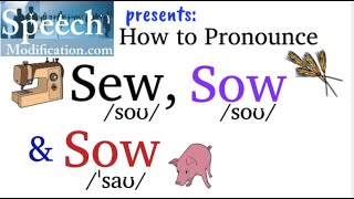 How to Pronounce Sew Sow verb and Sow noun [upl. by Ynaffi]