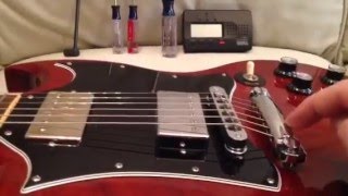 SG Guitars Quick Setup Specs [upl. by Nelav]