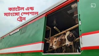 ক্যাটেল এন্ড ম্যাংঙ্গো স্পেশাল ট্রেনbdrailway bdrailfan padmarail [upl. by Ennoval]