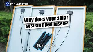 Essential Guide to Fuses in Solar Systems [upl. by Ariaj]