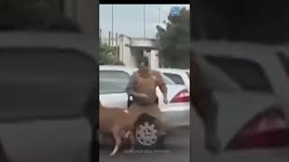 Top Unbelievable Funny Moments Watch and Laugh 😂👀Top Unbelievable Funny Momentsshorts [upl. by Licht]