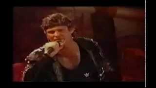 David Hasselhoff amp Fans  quotLooking For Freedomquot live 1990 [upl. by Jory]