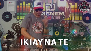 Ikiay Na Te Budots  Hands Up Remix  Dj Ericnem [upl. by Aldredge734]