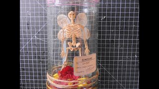 Skeleton Fairy Specimen Jar [upl. by Leasi]