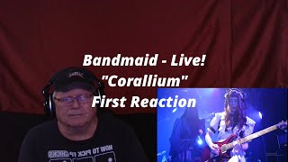 Bandmaid Live  quotCoralliumquot  First Reaction [upl. by Oirretno]