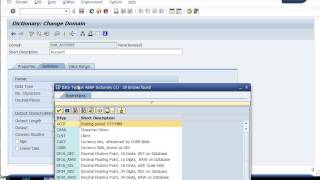 Database Table  SAP ABAP [upl. by Blunt898]