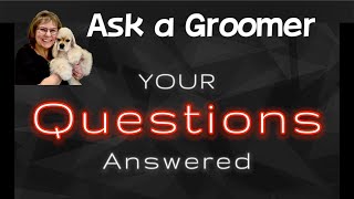 Ask a Groomer about Dog Grooming Tips Tricks and Techniques Ask a Certified Master Groomer today [upl. by Lemrej]