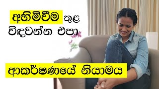 Law of Attraction Sinhala අලුත් පටන්ගැන්මකට අනිවාර්යෙන් බලන්න [upl. by Aramen]