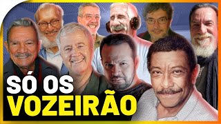 10 VOZES MAIS GRAVES da dublagem que VOCÊ JÁ OUVIU  Os Melhores Dubladores 8 [upl. by Bondy388]