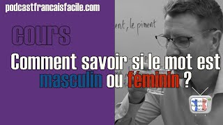 Comment savoir si un mot est masculin ou féminin niveau A1A2 [upl. by Cuhp]