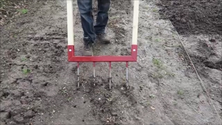 No Dig Broadfork Demonstration Mulching Blueberries Fruit Tree Maintenance [upl. by Wiersma]