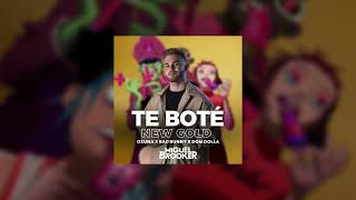 Te Boté x New Gold Miguel Brooker Mashup Bad Bunny Ozuna Dom Dolla Gorillaz [upl. by Dutch]