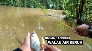 MANCING IKAN WADER AWALNYA RAGU PAS DI COBA LUAR BIASA HASILNYA MICRO FISHING [upl. by Atauqal]