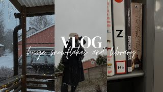 Huge snowflakes and library  Sweden trip vlog 🇸🇪 [upl. by Atoiyanap]