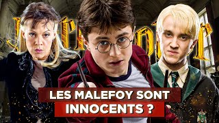 7 IDÉES REÇUES sur HARRY POTTER quil faut BANNIR  épisode 3 [upl. by Ssepmet]