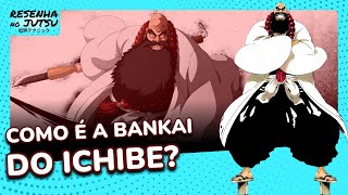 BANKAI do Ichibei Hyosube EXPLICADA O QUE ELA É E COMO FUNCIONA [upl. by Dnomso]