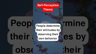 SelfPerception Theory [upl. by Nellahs]