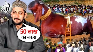 Salman Khan ka Qurbani ka Bakra 2024 I सलमान खान का कुर्बानी का बकरा I Bakra Eid 2024 [upl. by Yra]