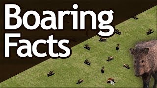 AoE2 Boar amp Gaia Secrets [upl. by Kutchins]