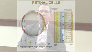 Positive Results from Randomized Controlled Trials of MCO10 Gene Therapy for RP amp Stargardt [upl. by Eibber]