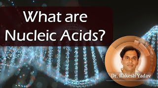 What are Nucleic acids  Dr Rakesh Yadav nucleicacids nucleicacid [upl. by Kimble]