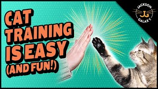 Clicker Training Your Cat is Easy and Fun [upl. by Otrevlig168]