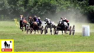 Buckboard Wagon Races  What About Bob Chuckwagon Races 2022  Sunday [upl. by Nerred]