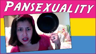 Pansexuality amp Pansexual Explanation [upl. by Atiuqehs890]