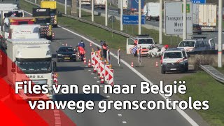 Files door controles op grens met België [upl. by Mccormac405]