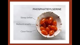 Phosphatidylserine Benefits [upl. by Ihculo34]