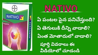 Best fungicide Bayer Nativo full specifications In teluguNativo fungicide full informationagri [upl. by Ainak]