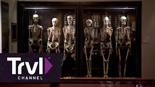 Philadelphias Mutter Museum  Travel Channel [upl. by Gilliam]