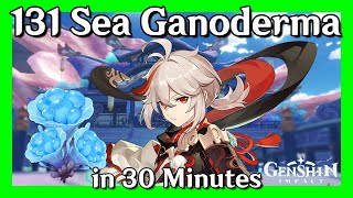 131 Sea Ganoderma in 30 Minutes  Genshin Impact  Material Farm 8 How to Farm [upl. by Yliah521]