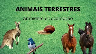 Animais Terrestres  Ambiente e locomoção [upl. by Hyozo816]