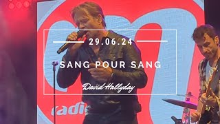 David Hallyday  Sang pour sang l 29062024 Bron [upl. by Supple]