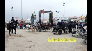 XLIV Feira Nacional do CavaloGolegã 2019 [upl. by Notneb]