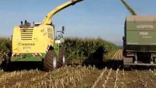 Maishäckseln mit Krone Big X 800 und Renault Ares 735 RZ [upl. by Ynnelg]