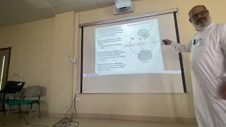 Part 2 of Adipose Tissue Hormones By Prof Dr M Yosof [upl. by O'Carroll742]