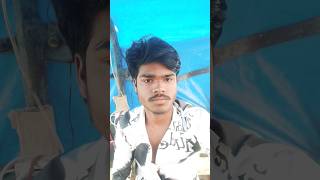 Badshah Don mein Nishu Jaiswal bhojpuri song music newsong janewohkaiselogthe 💘❣️💔🌹🤣😥💝🌹❣️💔 [upl. by Seni]