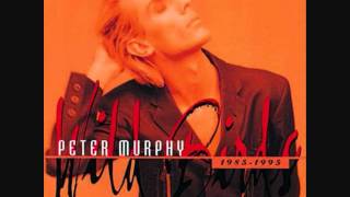 Peter Murphy  Cuts you up Live [upl. by Bambie]