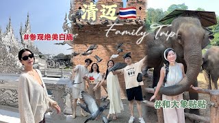 新年出国去｜清迈自由行｜放空身心｜0距离和大象贴贴 ChiangMai Vlog [upl. by Walden218]