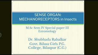 Mechanoreceptors in Insects by Shubhada Rahalkar [upl. by Animas]