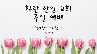 화란 한인 교회 12월 1일 온라인 예배 [upl. by Dillon690]