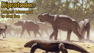 Diprotodon the largest marsupial to ever live [upl. by Ennovaj]