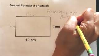 How to find the Area and Perimeter of a Rectangle [upl. by Naol]