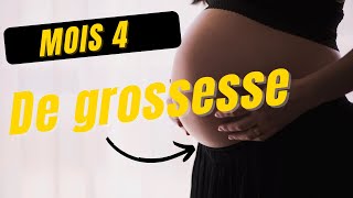 ÉVOLUTION BÉBÉ À 4 MOIS DE GROSSESSE  quatrième mois de grossesse  Grossesse mois par mois Belosa [upl. by Aivato]