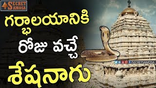 Interesting Facts About Gudilova Ranganatha Swamy Temple  UnknownFacts in Telugu  SecretSamosa [upl. by Ahsuatal]